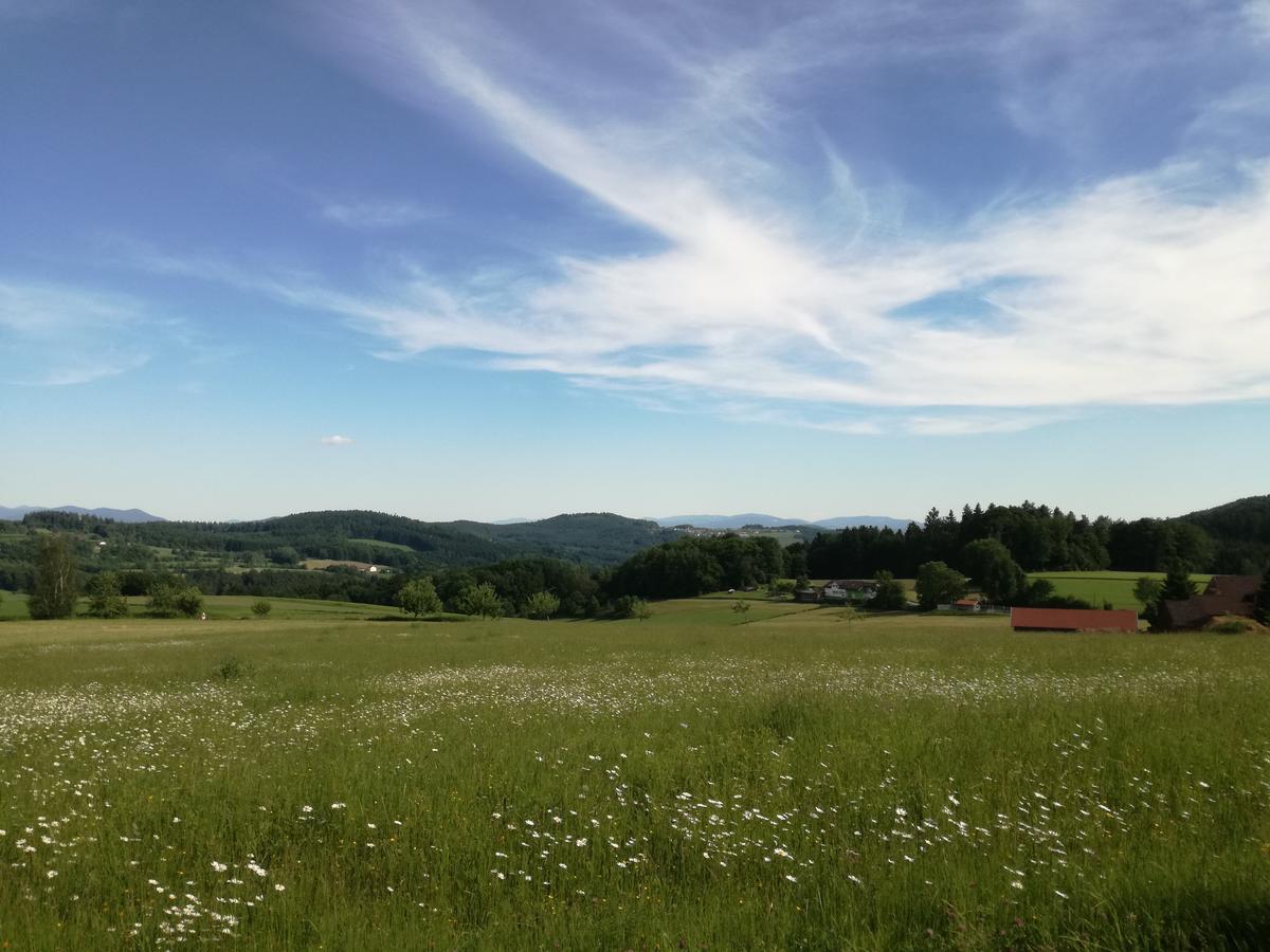 Gasthaus Zur Waldesruh Waffenbrunn Екстериор снимка